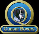 Quasar Boxers